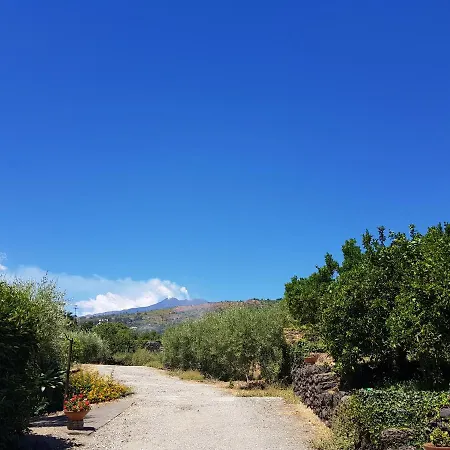 Le Di Civi