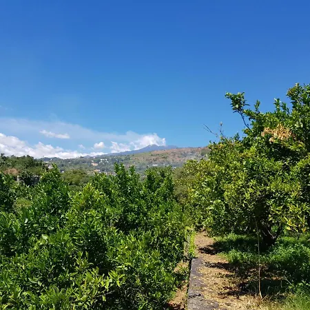Le Di Civi Mascali