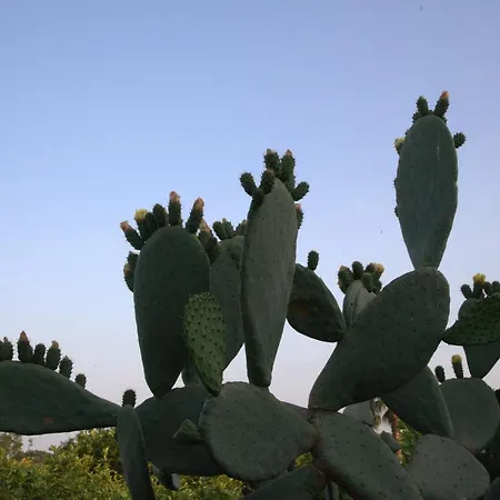 Farm stay Le Di Civi *