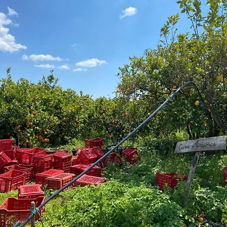 Séjour à la ferme Le Di Civi *