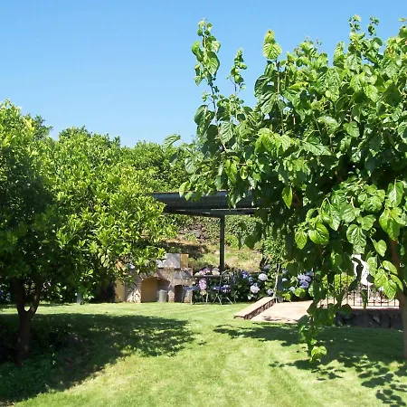 Le Di Civi * Mascali